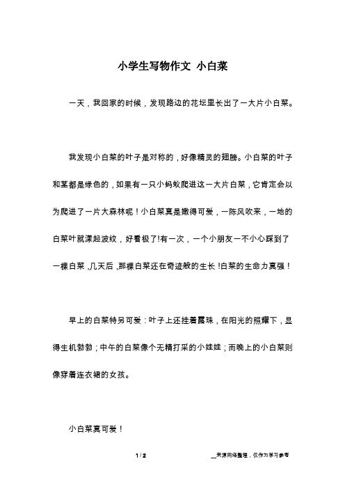小学生写物作文 小白菜