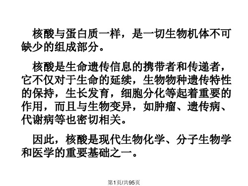 核酸学生PPT课件