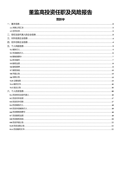 贾跃亭投资任职及风险报告