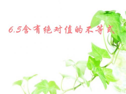 6.5含有绝对值的不等式