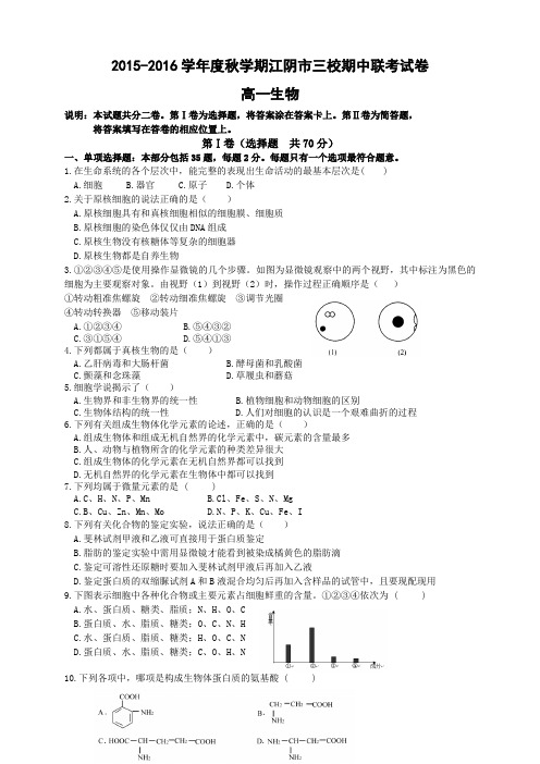 江苏省江阴市华士、成化、山观三校高一上学期期中联考