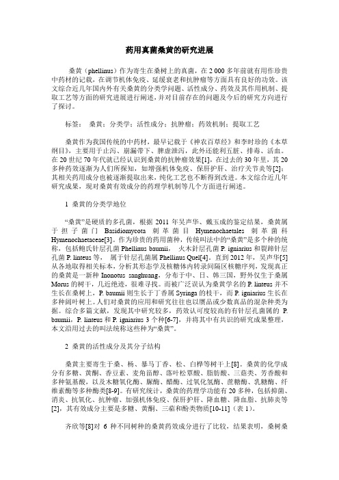 药用真菌桑黄的研究进展