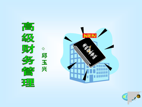 高级财务管理课件：总论、战略、企业集团