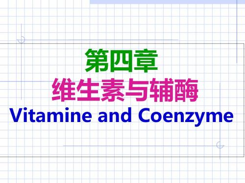 维生素与辅酶PPT课件
