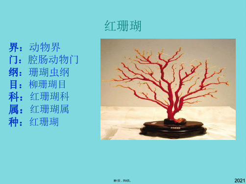 红珊瑚(与“红珊瑚”有关优秀PPT文档)