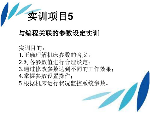 实训项目5