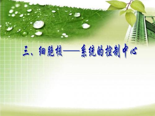 第三节 细胞核──系统的控制中心