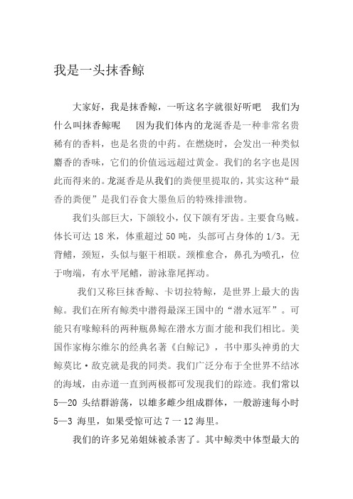 我是一头抹香鲸