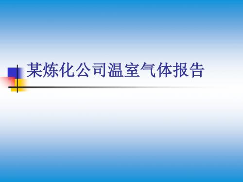 某炼化公司温室气体报告