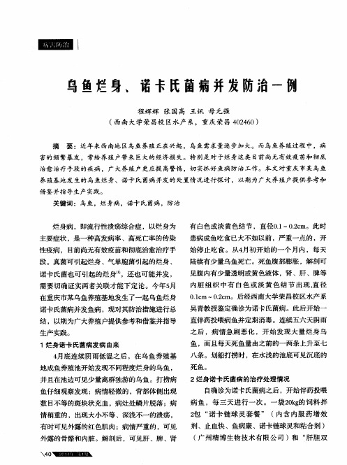 乌鱼烂身、诺卡氏菌病并发防治一例
