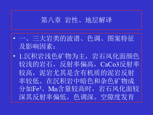 10第八章岩性解译