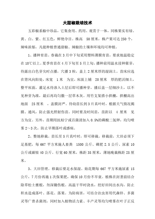大甜椒栽培技术