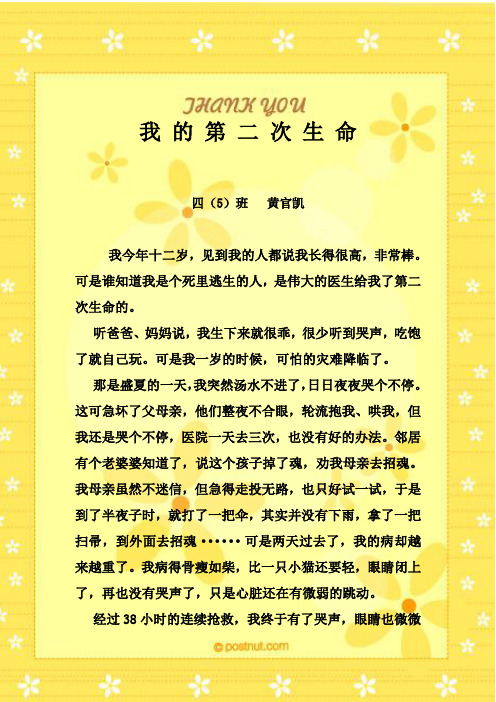 我的第二次生命
