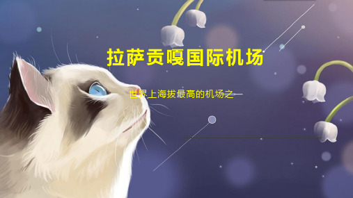 拉萨贡嘎国际机场