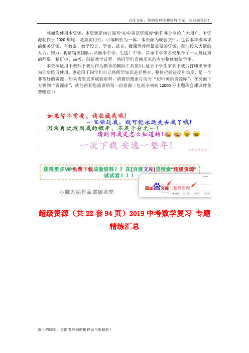 文集(共22套94页)2019中考数学复习 专题精练汇总