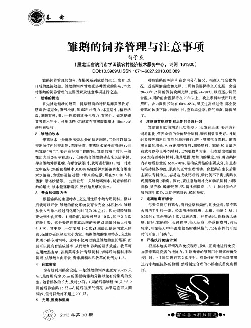 雏鹅的饲养管理与注意事项