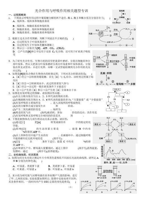 高三学生光合作用与呼吸作用相关题型专训