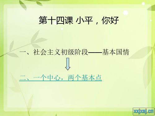 教科版九年级思想品德第十四课