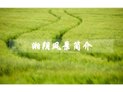 湖南岳阳湘阴风景简介
