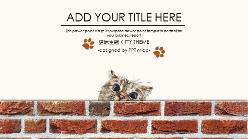 猫咪宠物可爱趣味俏皮幽默产品介绍个人总结教师课件PPT模板