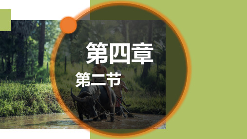 人教版地理八上第四章中国的经济发展第二节农业(37张)