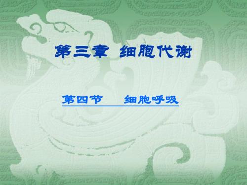呼吸作用
