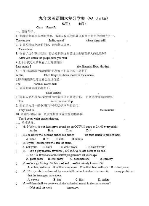 新译林版英语九年级上册unit6期末复习学案含答案