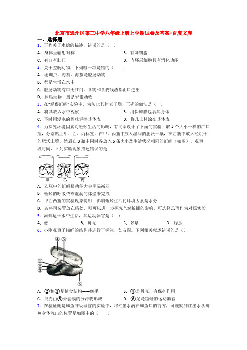 北京市通州区第三中学八年级上册上学期试卷及答案-百度文库