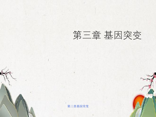 第三章基因突变