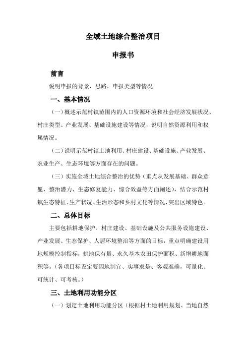 全域整治项目申报书