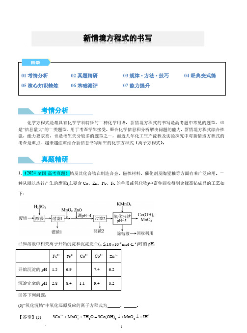 新情境方程式的书写--2025年高考化学微专题(解析版)