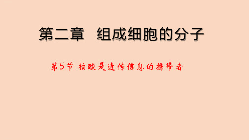 【人教版】核酸课件下载1