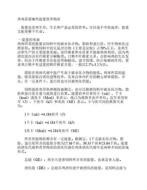 养鸡需要哪些能量营养物质