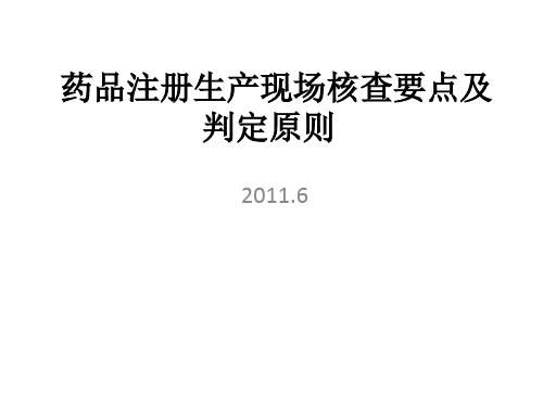 药品注册生产现场核查要点及判定原则