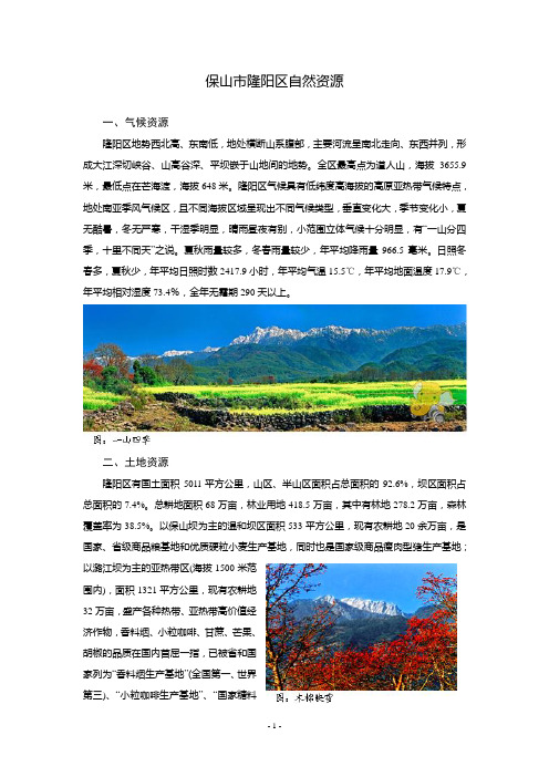 隆阳区自然资源