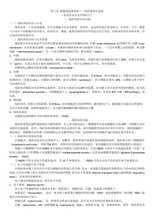 第六章 细胞的能量转换——线粒体和叶绿体