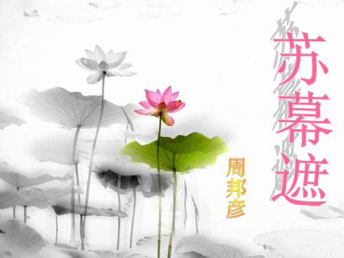 苏幕遮