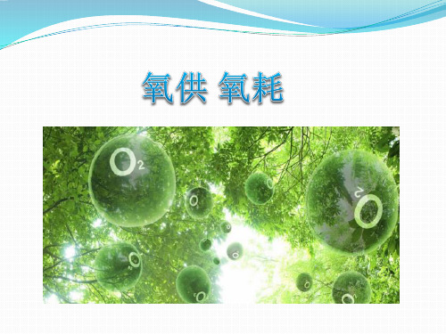 氧供氧耗课件2019整理版