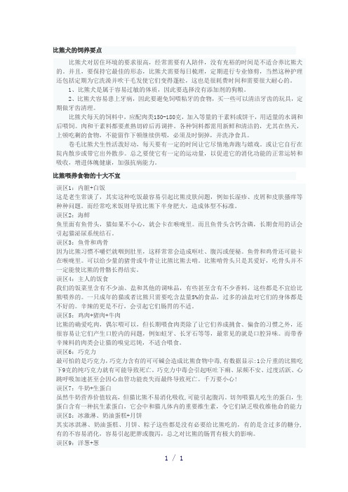比熊犬的饲养要点