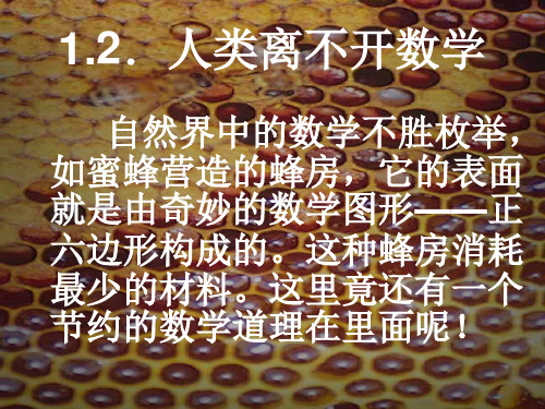 华师大版七年级上1.2《人类离不开数学》课件