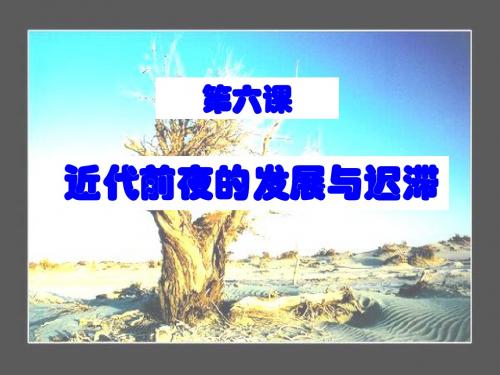 第6课  近代前夜的发展与迟滞