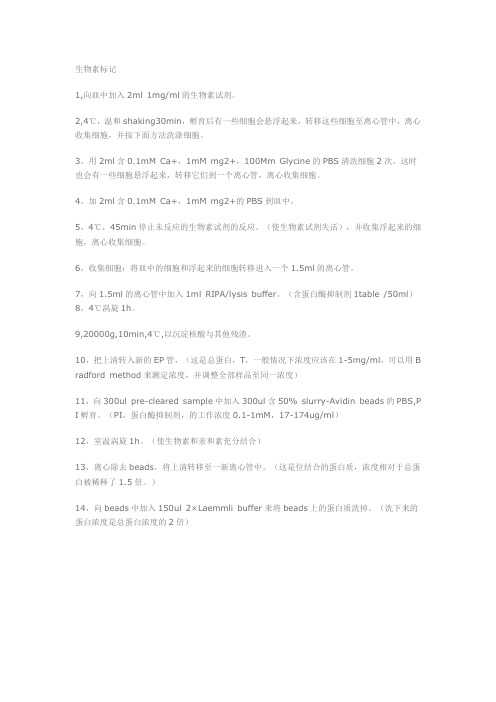 生物素标记