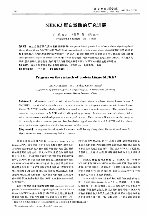 MEKK3蛋白激酶的研究进展
