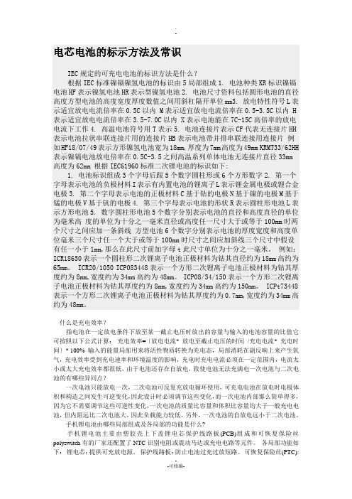 电芯电池的标示方法及常识