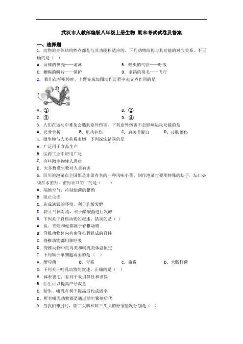 武汉市人教部编版八年级上册生物 期末考试试卷及答案