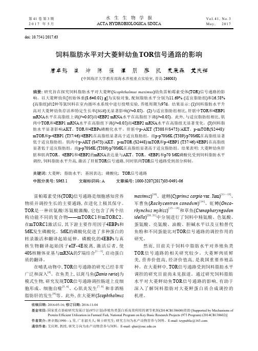 饲料脂肪水平对大菱鲆幼鱼TOR信号通路的影响