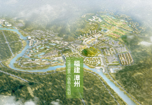 福建漳州花语温泉特色小镇概念规划