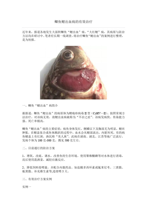 鲫鱼鳃出血病的有效治疗