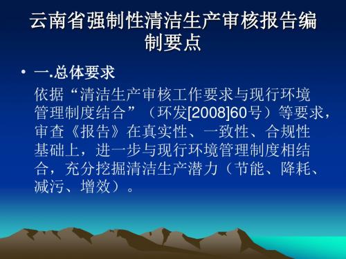 清洁生产审核报告编制