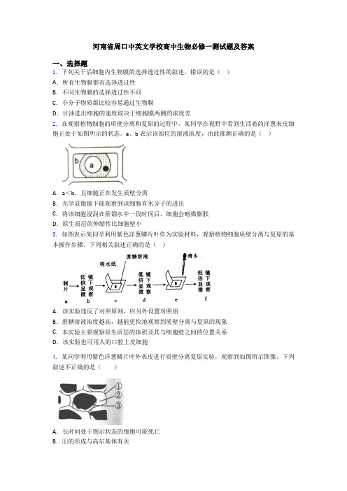 河南省周口中英文学校高中生物必修一测试题及答案